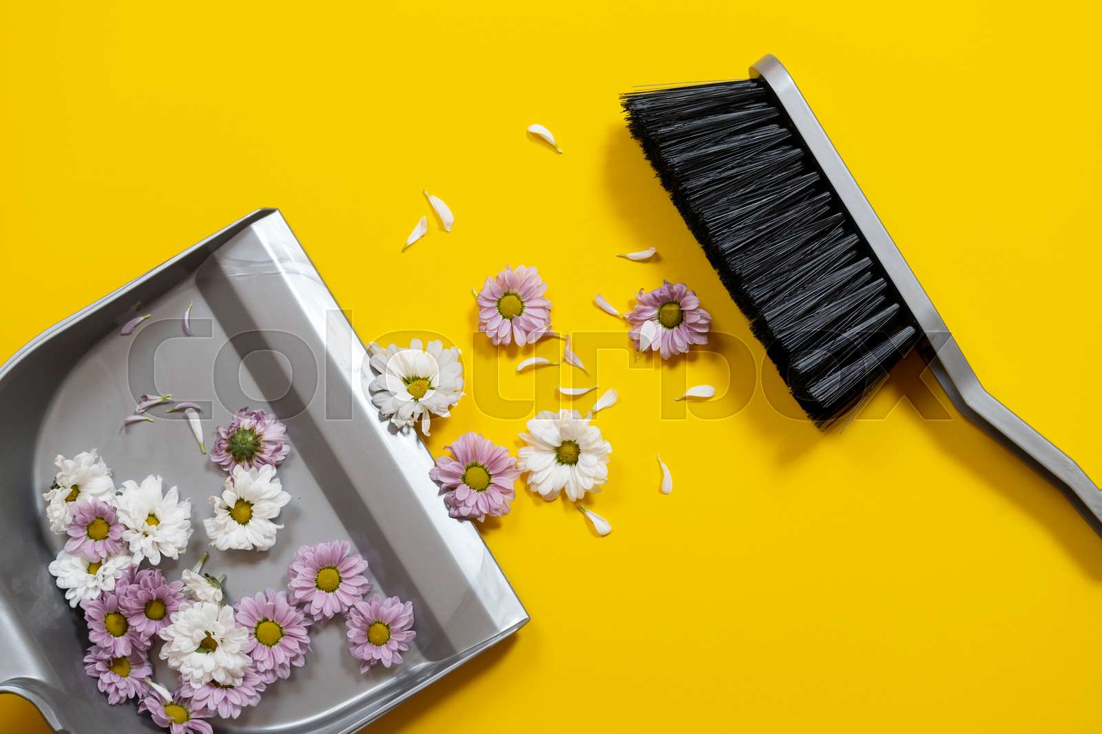 Housework Housekeeping And Household Concept Stock Image Colourbox