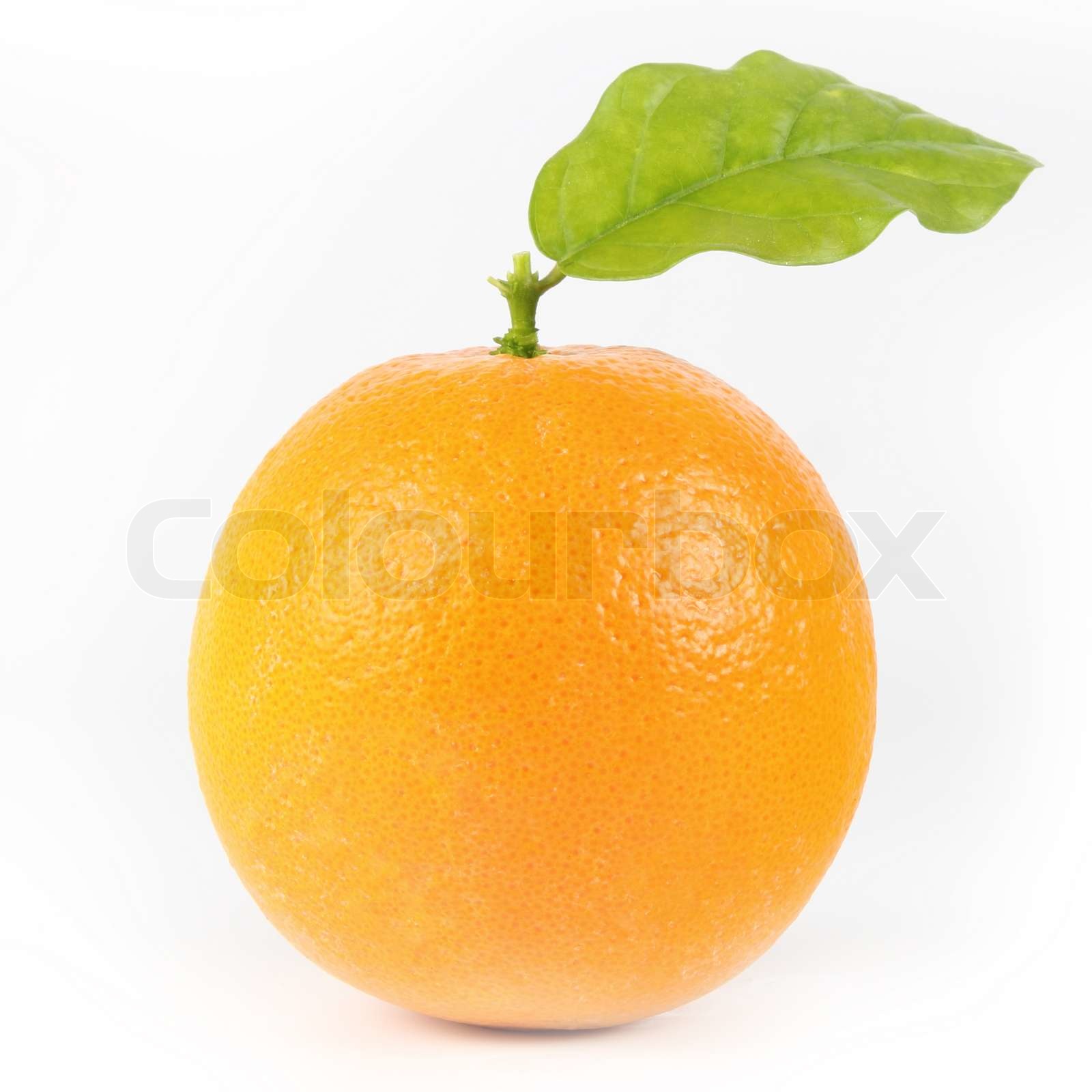 Orange fruit Stock image Colourbox