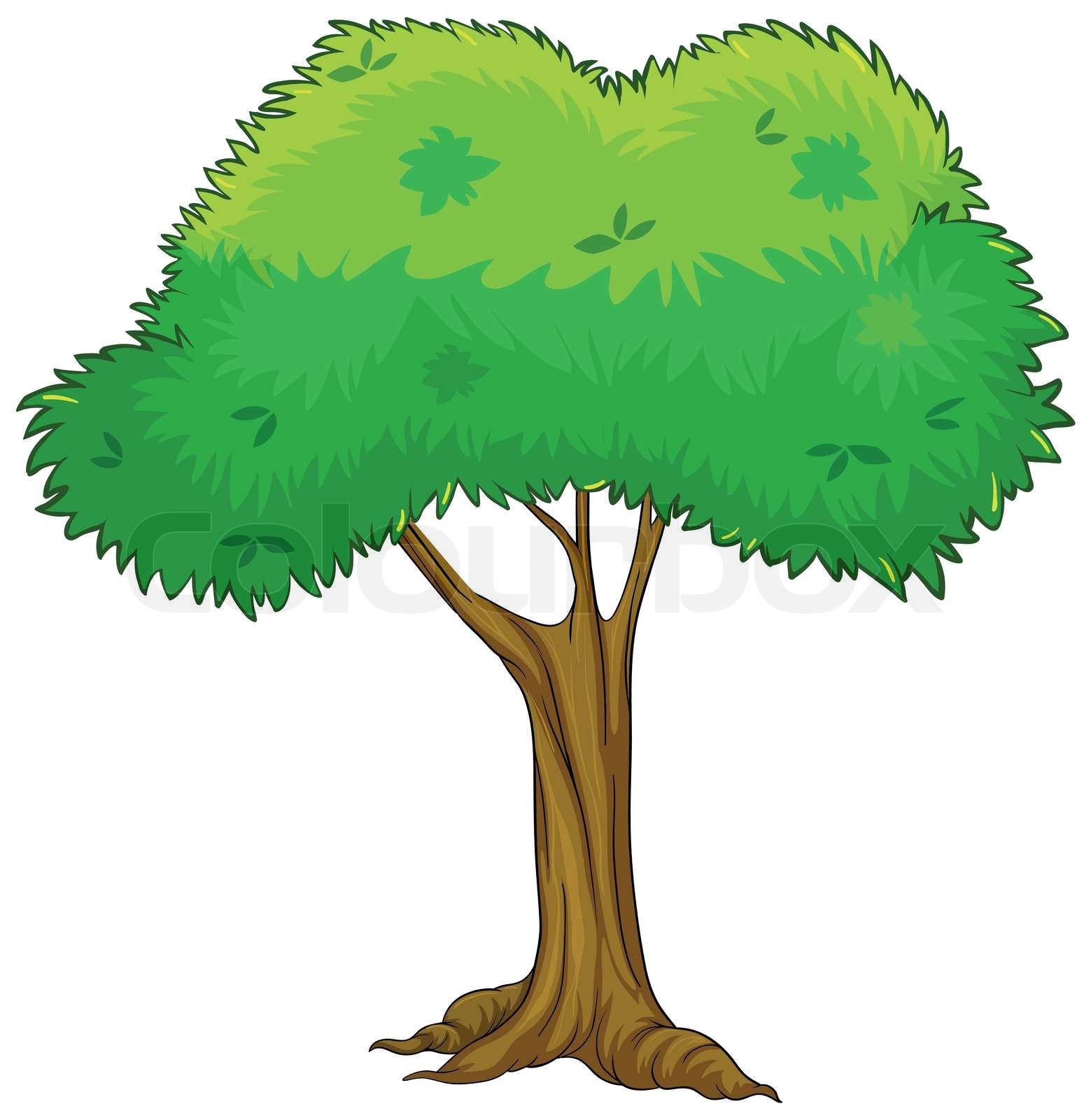 A tree | Stock vector | Colourbox