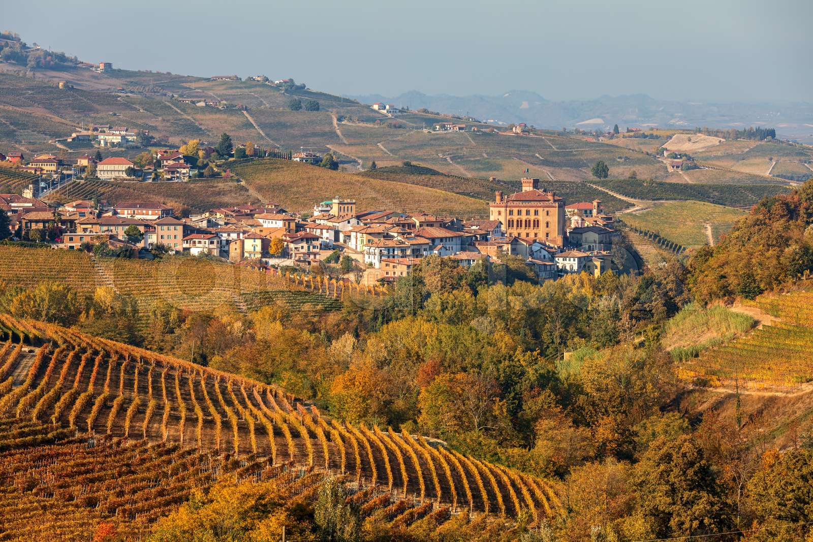 Colorful vineyards and town of Barolo in Italy. Stock image Colourbox