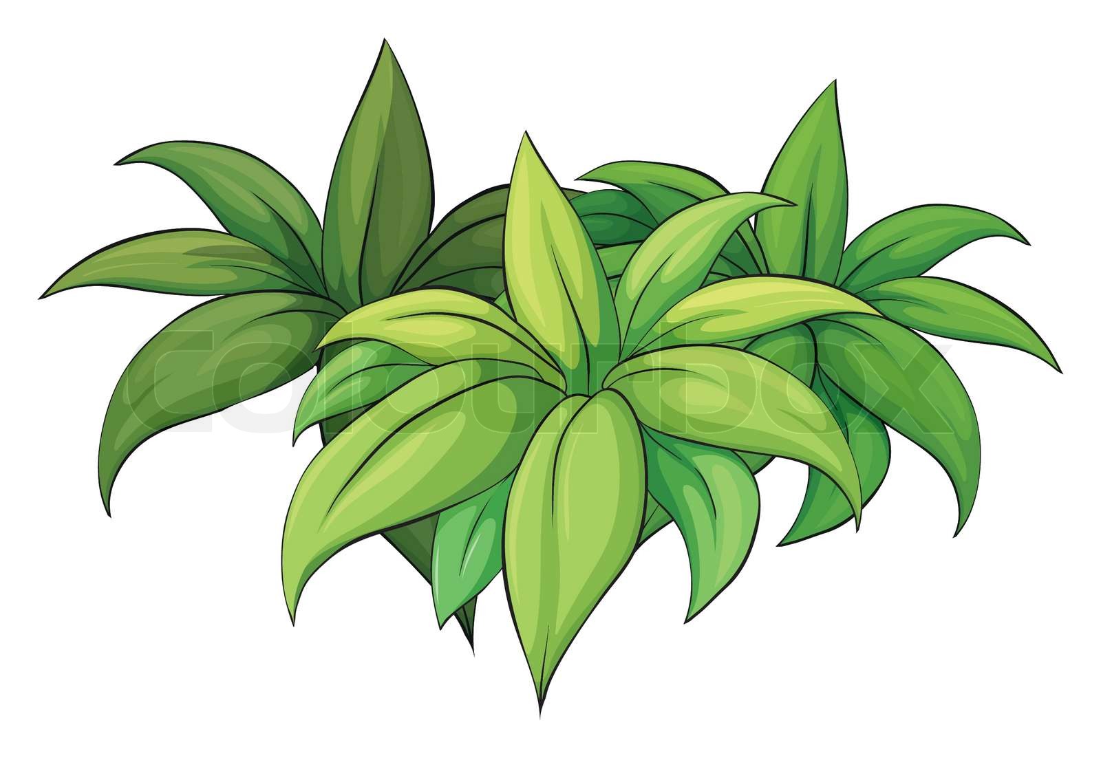 A Plant Stock Vector Colourbox