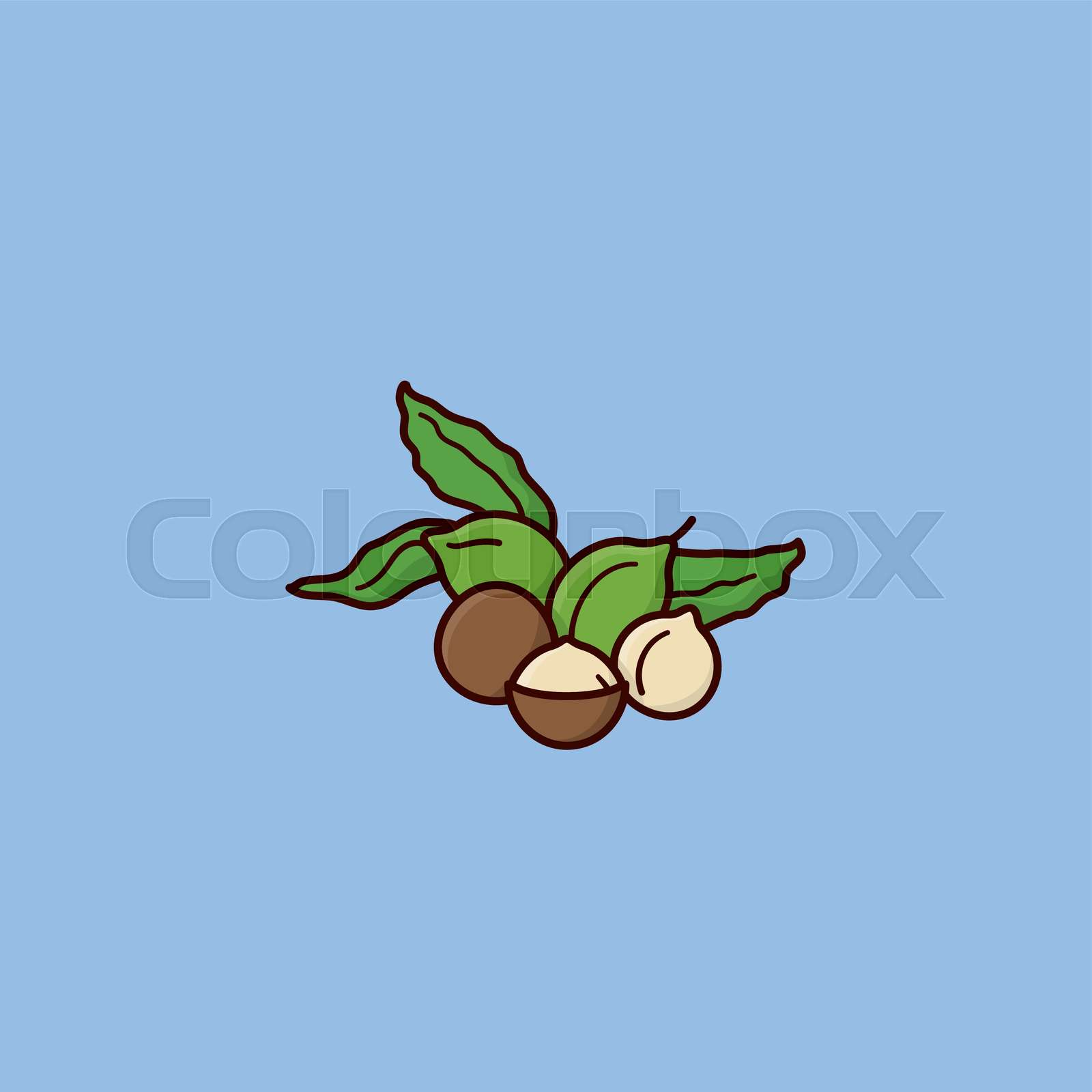Macadamia Nuts: Oxalate Risks Vs. Nutritional Benefits - gghm3ay