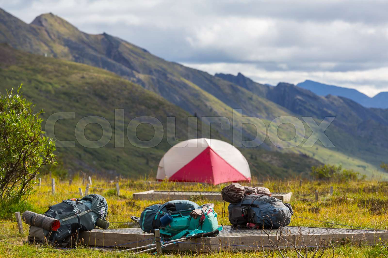 What Is A Table Tent In A Restaurant