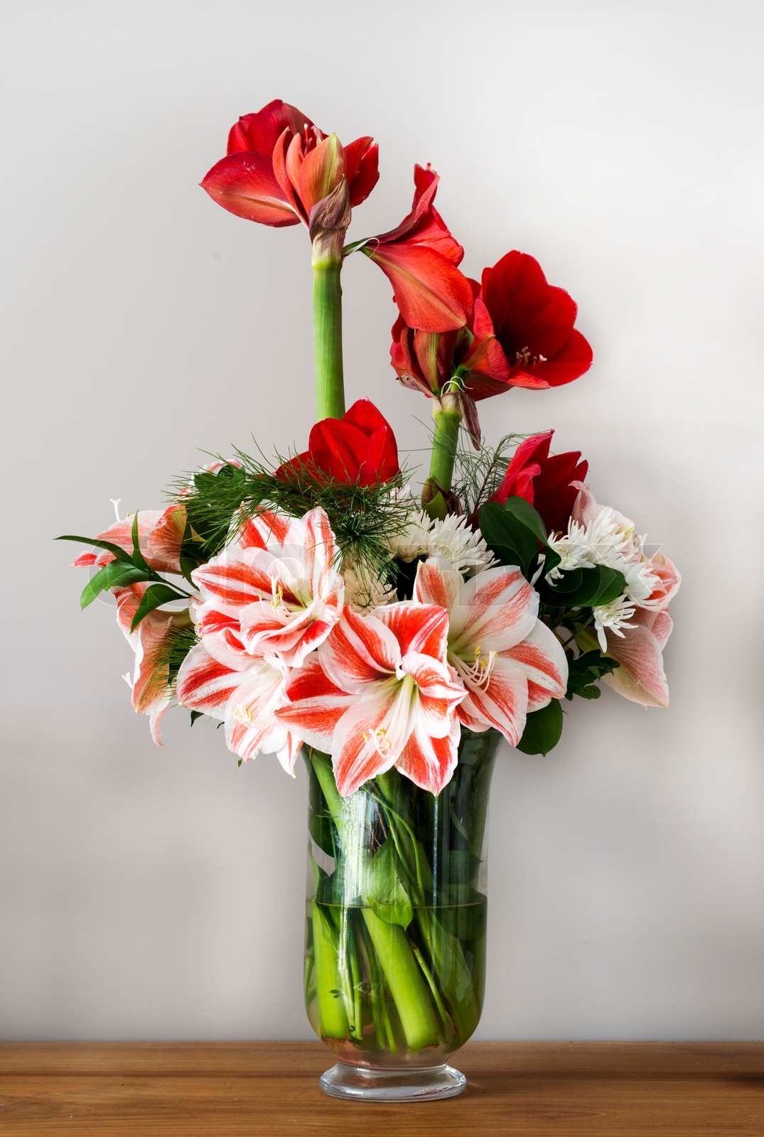 bouquet with amaryllis | Stock image | Colourbox