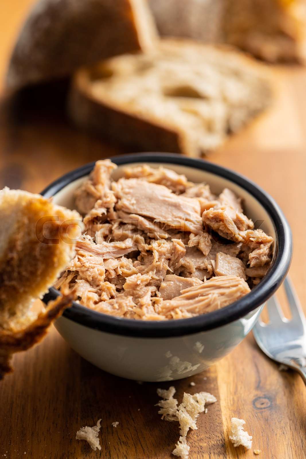 canned-tuna-fish-in-the-bowl-stock-image-colourbox