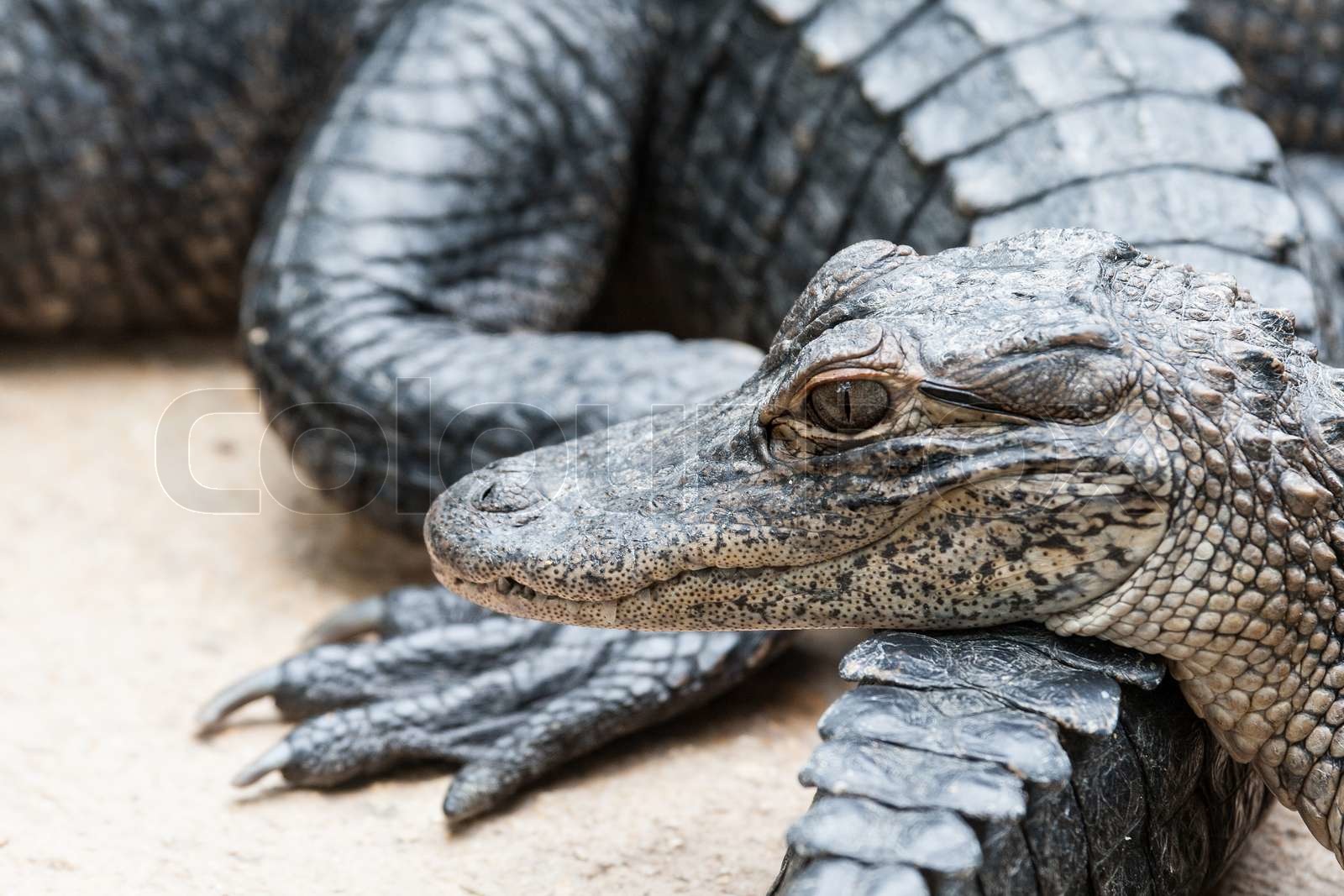 Create a group & choose group settings intelligence overview