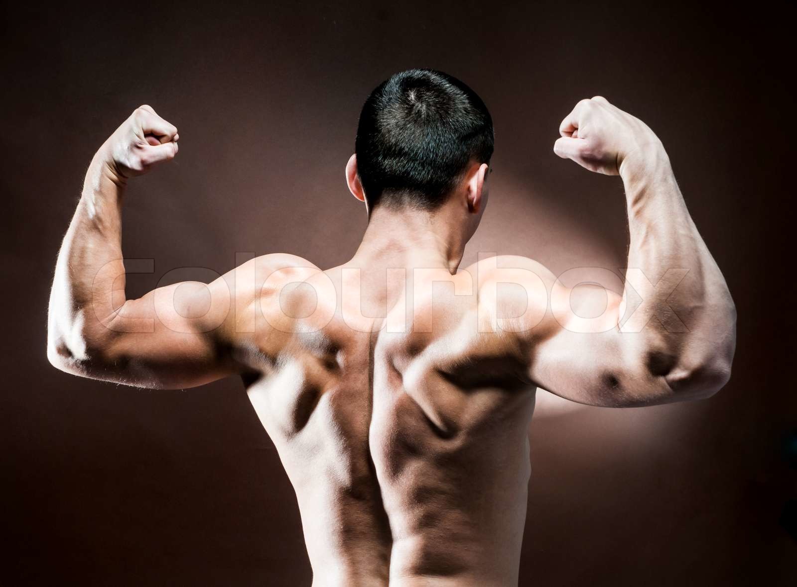 muscular male back | Stock image | Colourbox