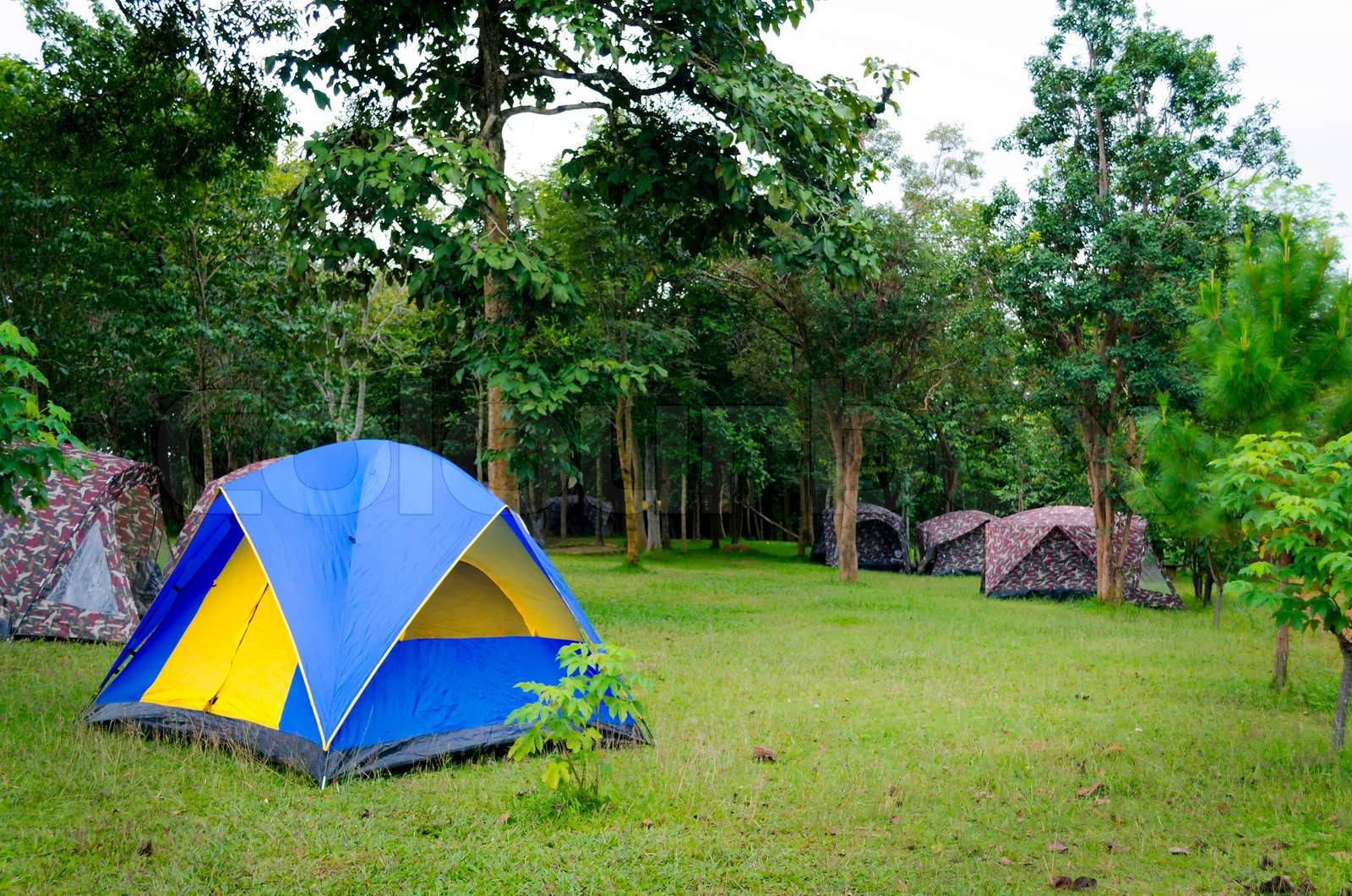 Camping Tent in Jungle | Stock image | Colourbox