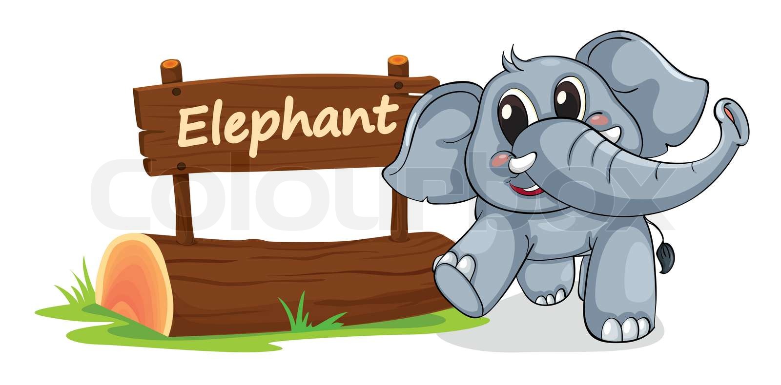 elephant and name plate Stock vector Colourbox