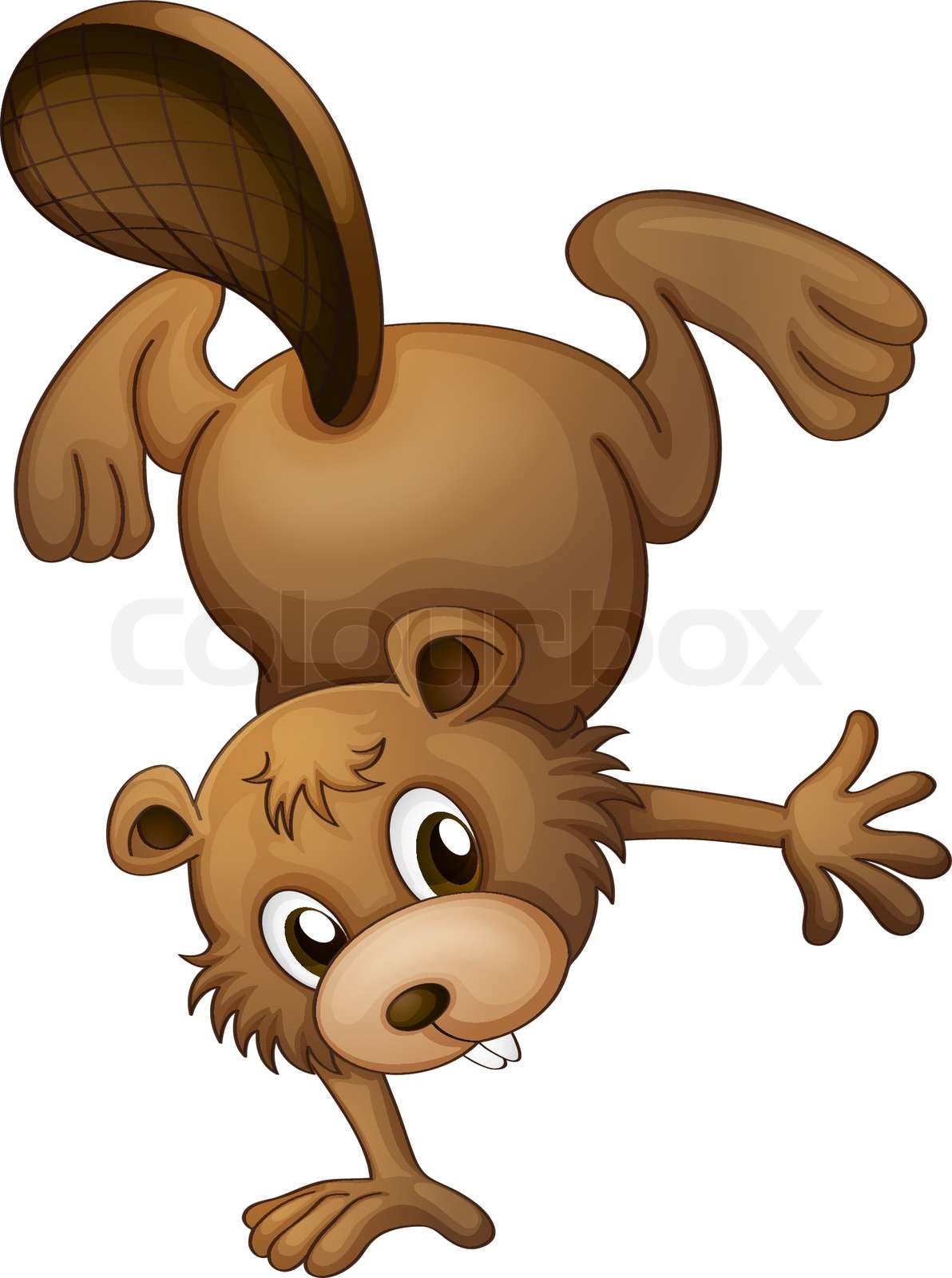 A playful beaver | Stock vector | Colourbox