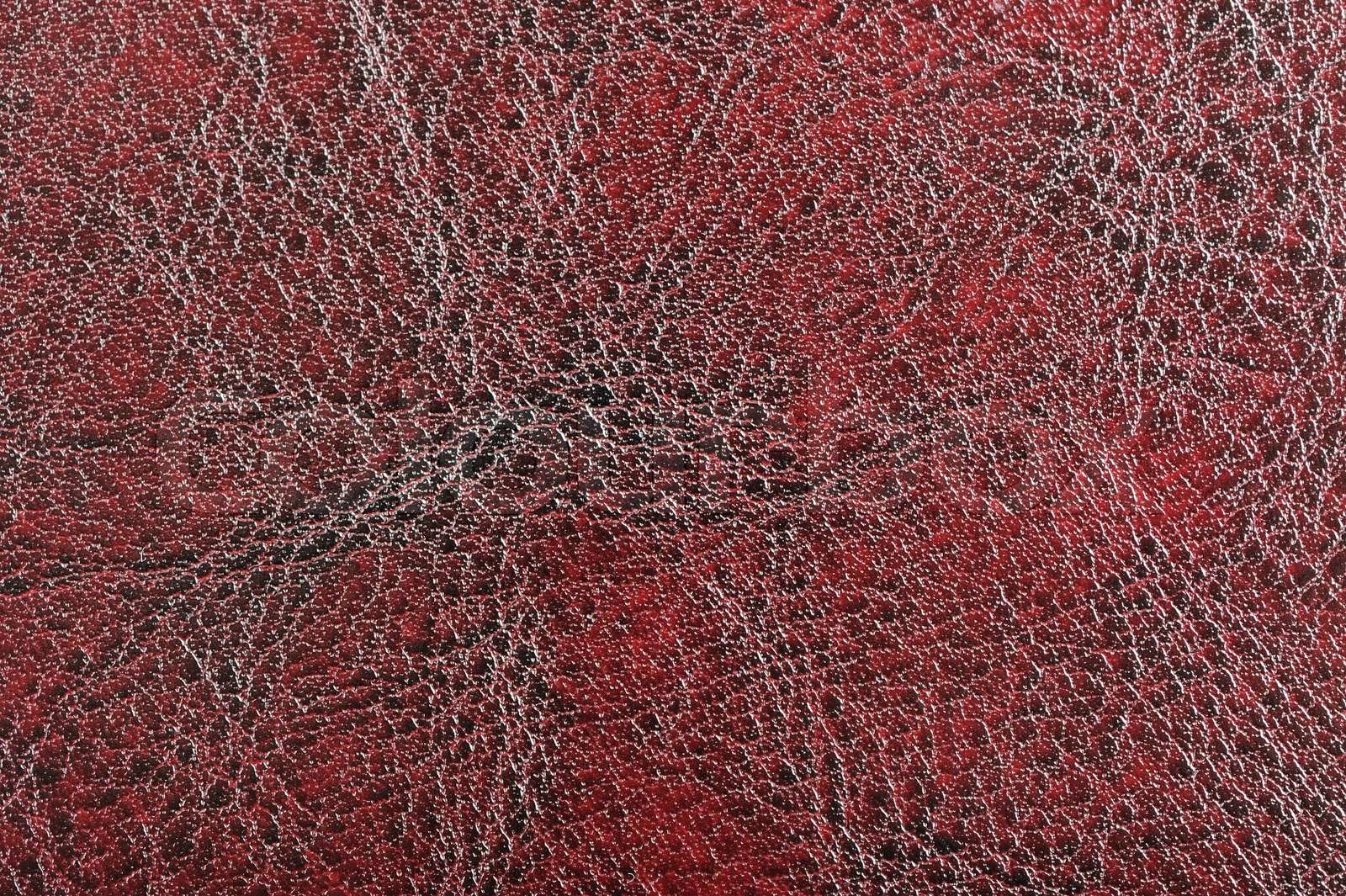 Bordeaux Glossy Leather Texture | Stock image | Colourbox