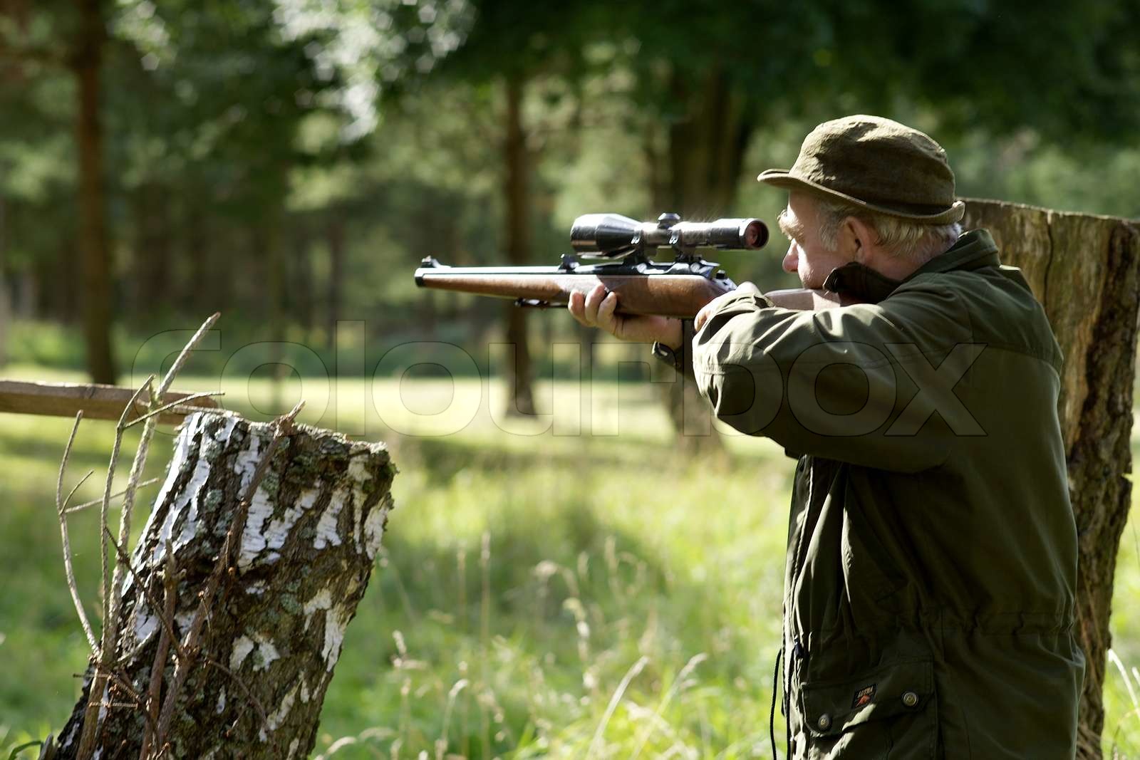 jagd, gewehr, jäger Stock Bild Colourbox