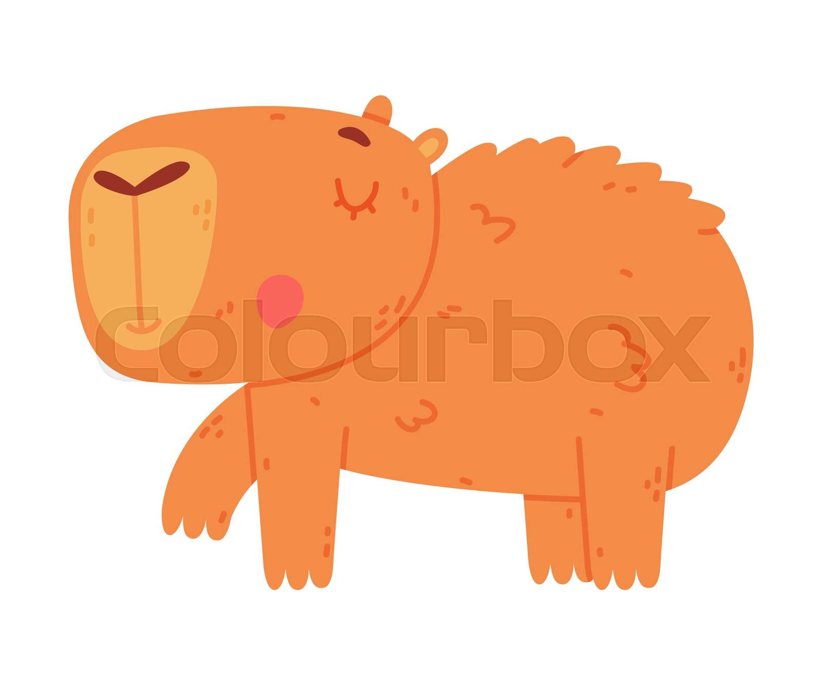 Cute Furry Baby Capybara Side View Of Funny Animal Of South America