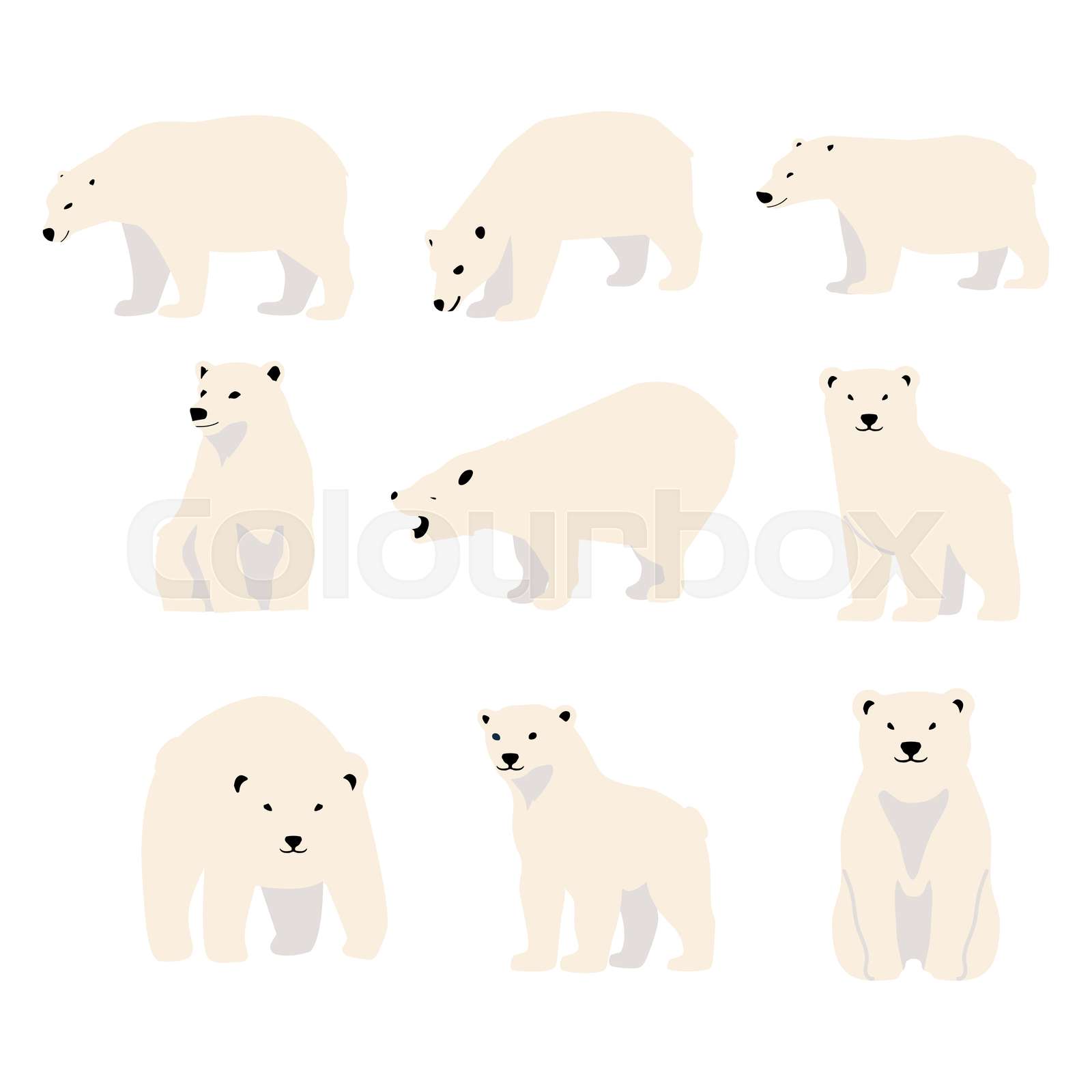 Polar bear character cartoon set | Stock vector | Colourbox