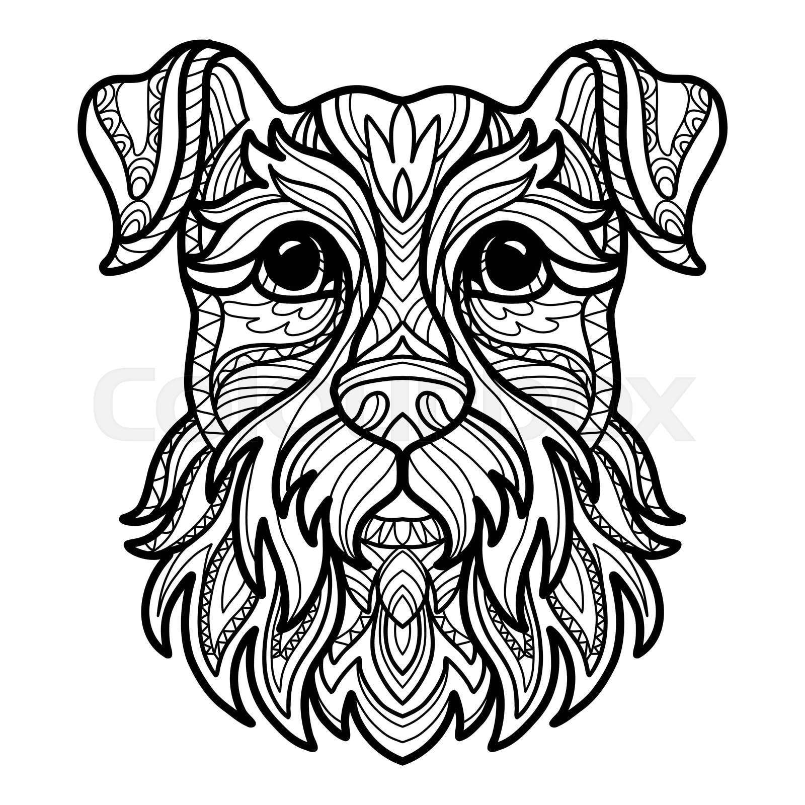 Schnauzer Head Dog Coloring Book Page Vector Illustration Stock Schnauzer head dog coloring book page vector illustration stock