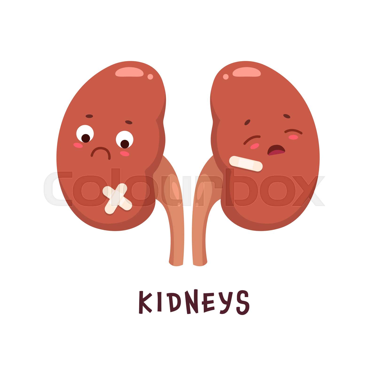 Kidneys sick body organ character unhealthy stock vector colourbox