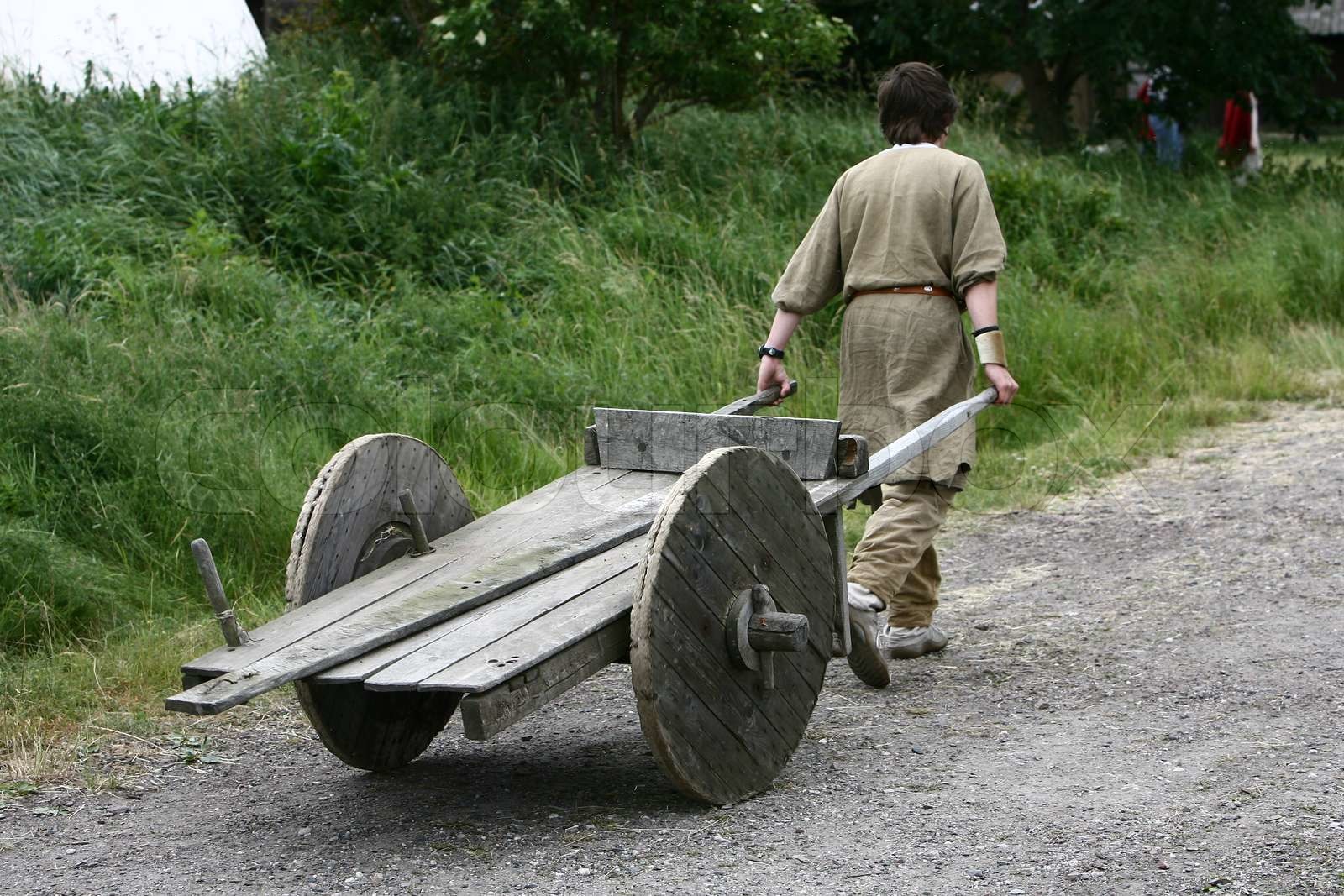 waggon, wagen, wikinger Stock Bild Colourbox