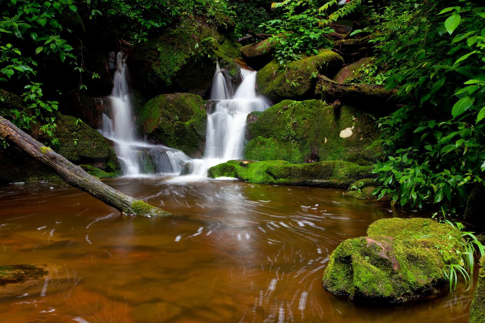 Deep Forest Waterfall Stock Image Colourbox