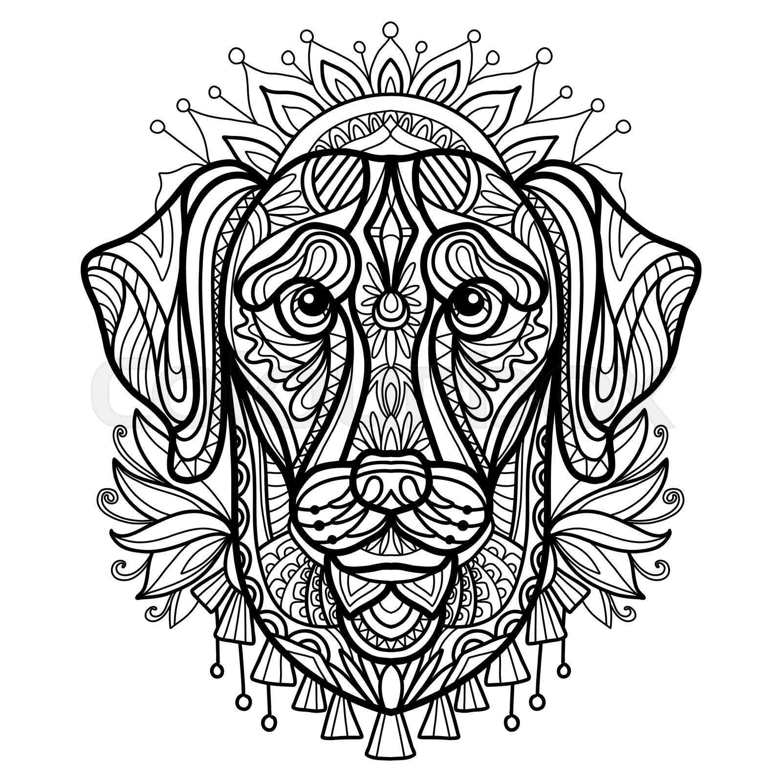 Coloring book page labrador dog vector illustration | Stock vector