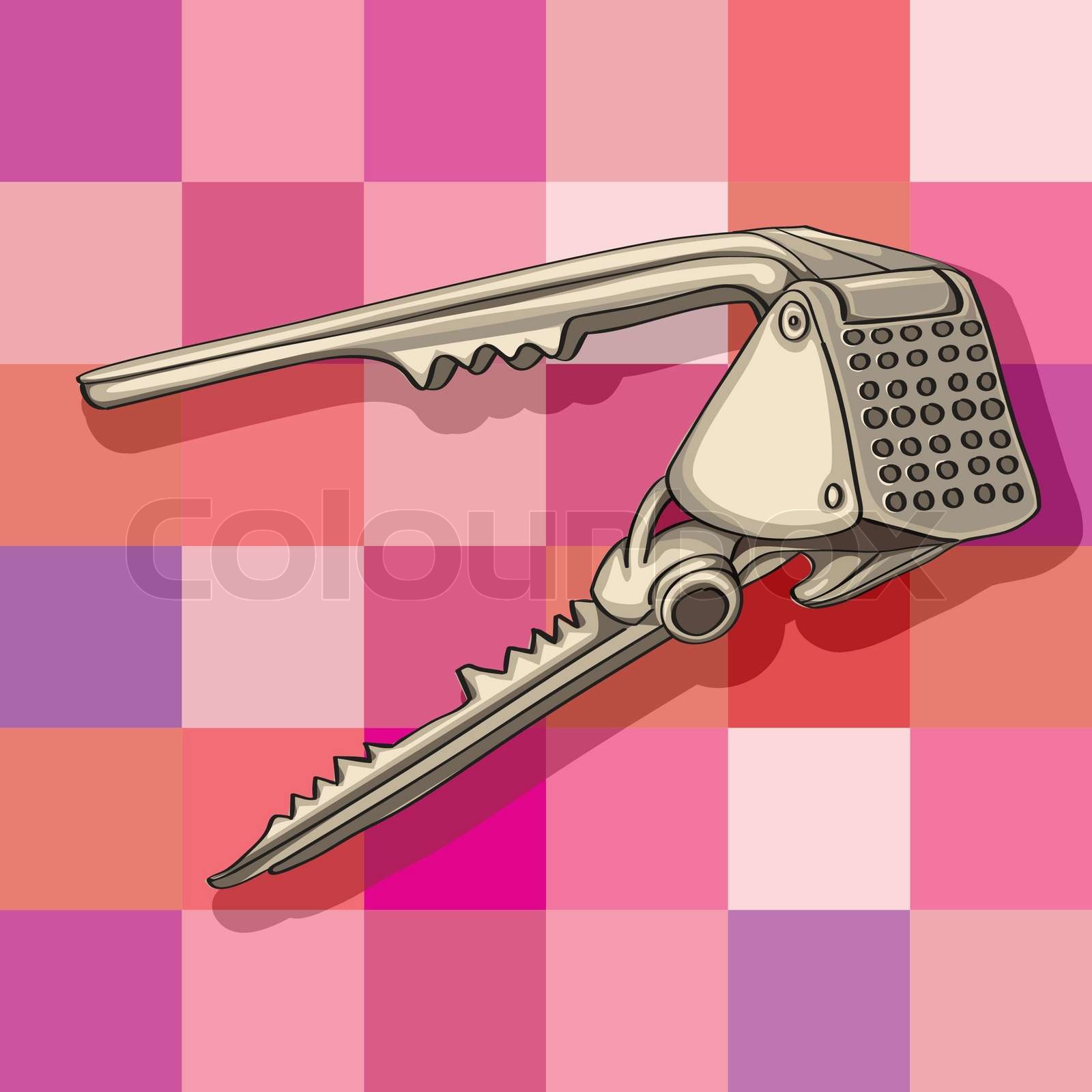 garlic press Stock vector Colourbox