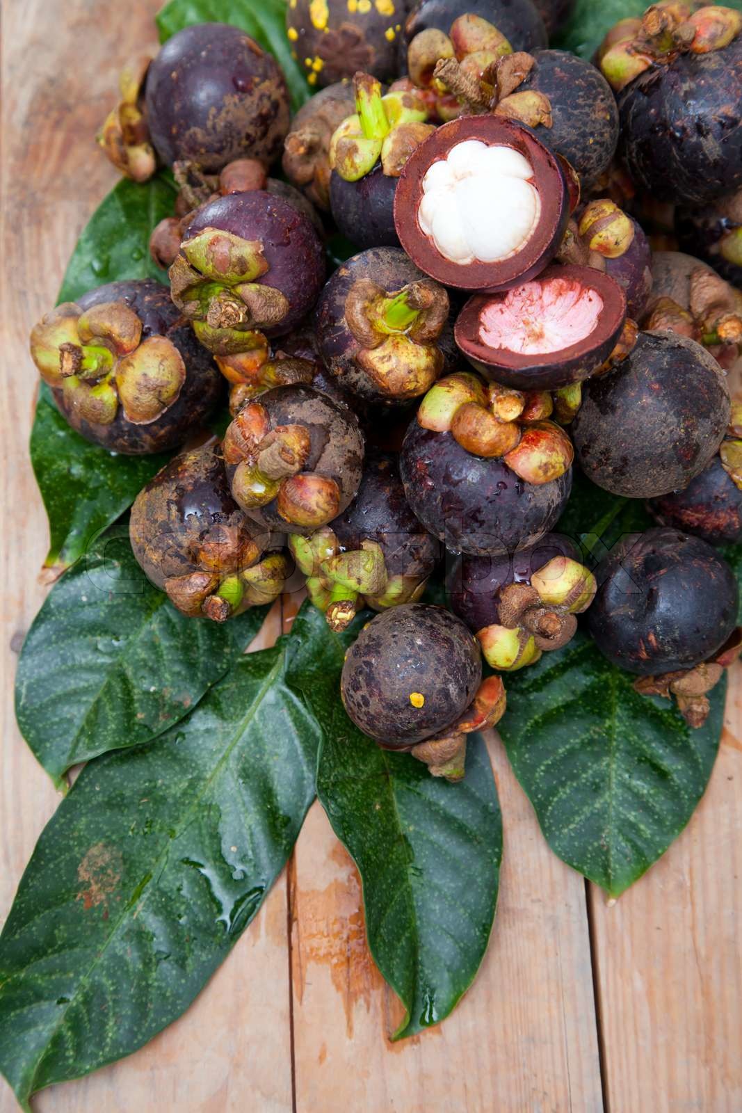 Mangosteen er en af lækker thai frugt | Stock foto | Colourbox