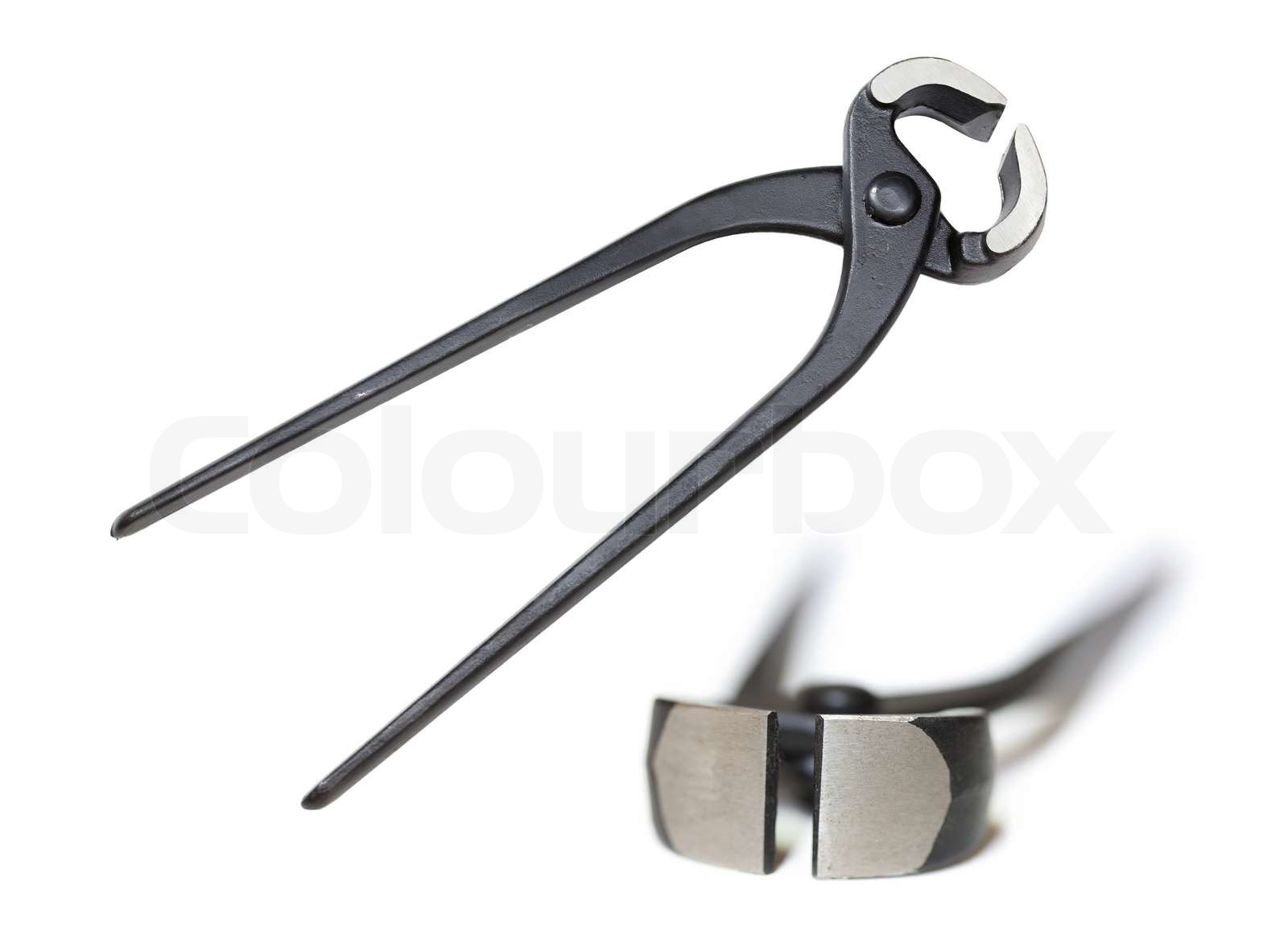 Edelstahl Eiszange Klauenstil - Bar Zubehör Für Eiswürfel & Zucker