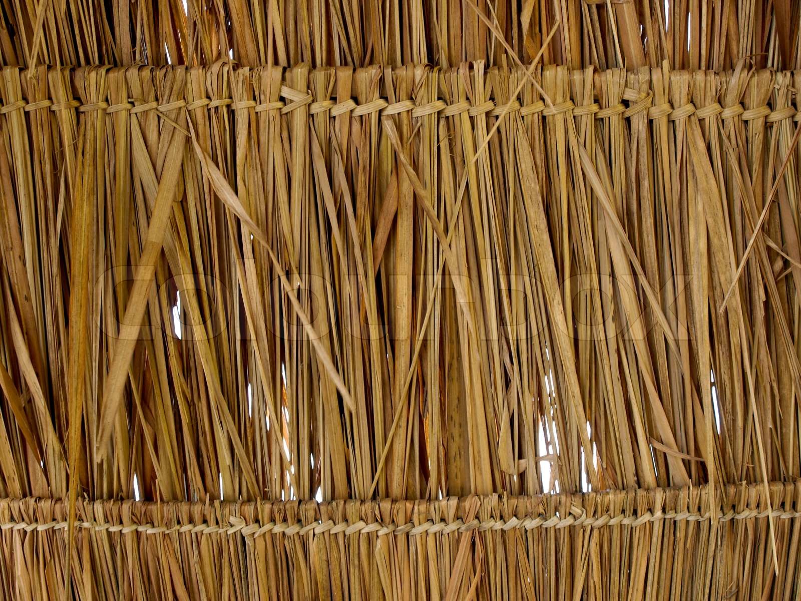 Texture Of Thatch Roof Stock Image Colourbox