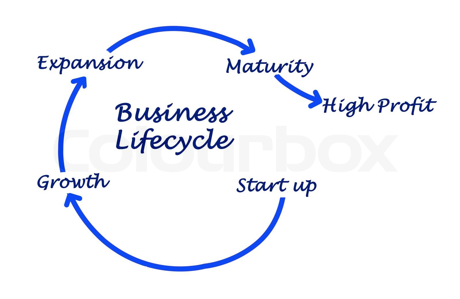 Business -Lifecycle | Stock Bild | Colourbox