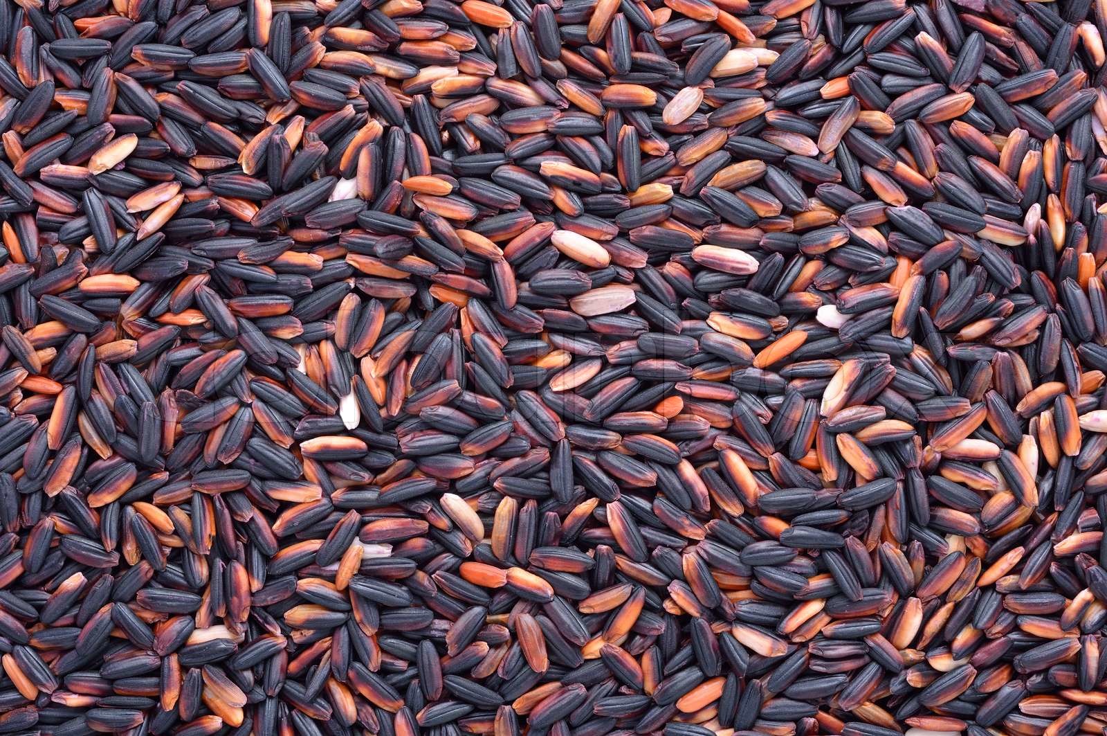 Schwarzer Klebreis Stock Bild Colourbox