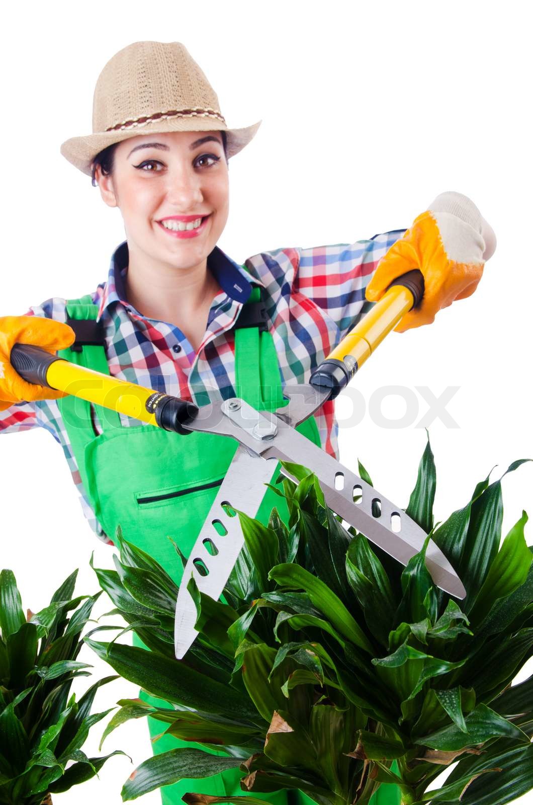 Frau Gärtner mit einer Schere auf weißem Stock Bild Colourbox