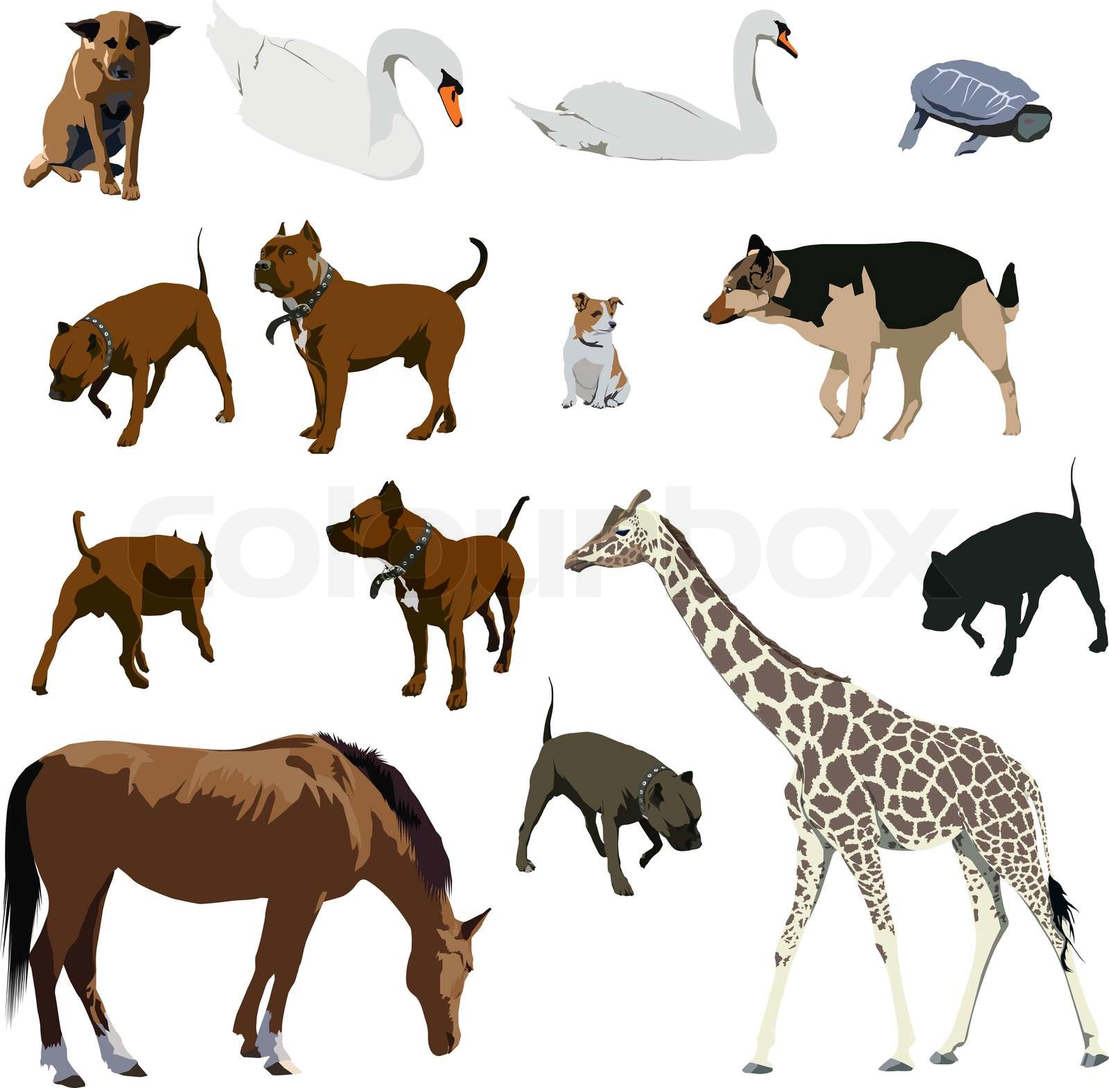 Animals Stock Vector Colourbox