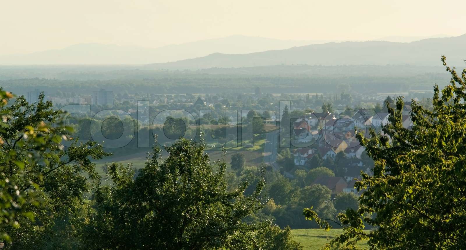 black forest Stock image Colourbox