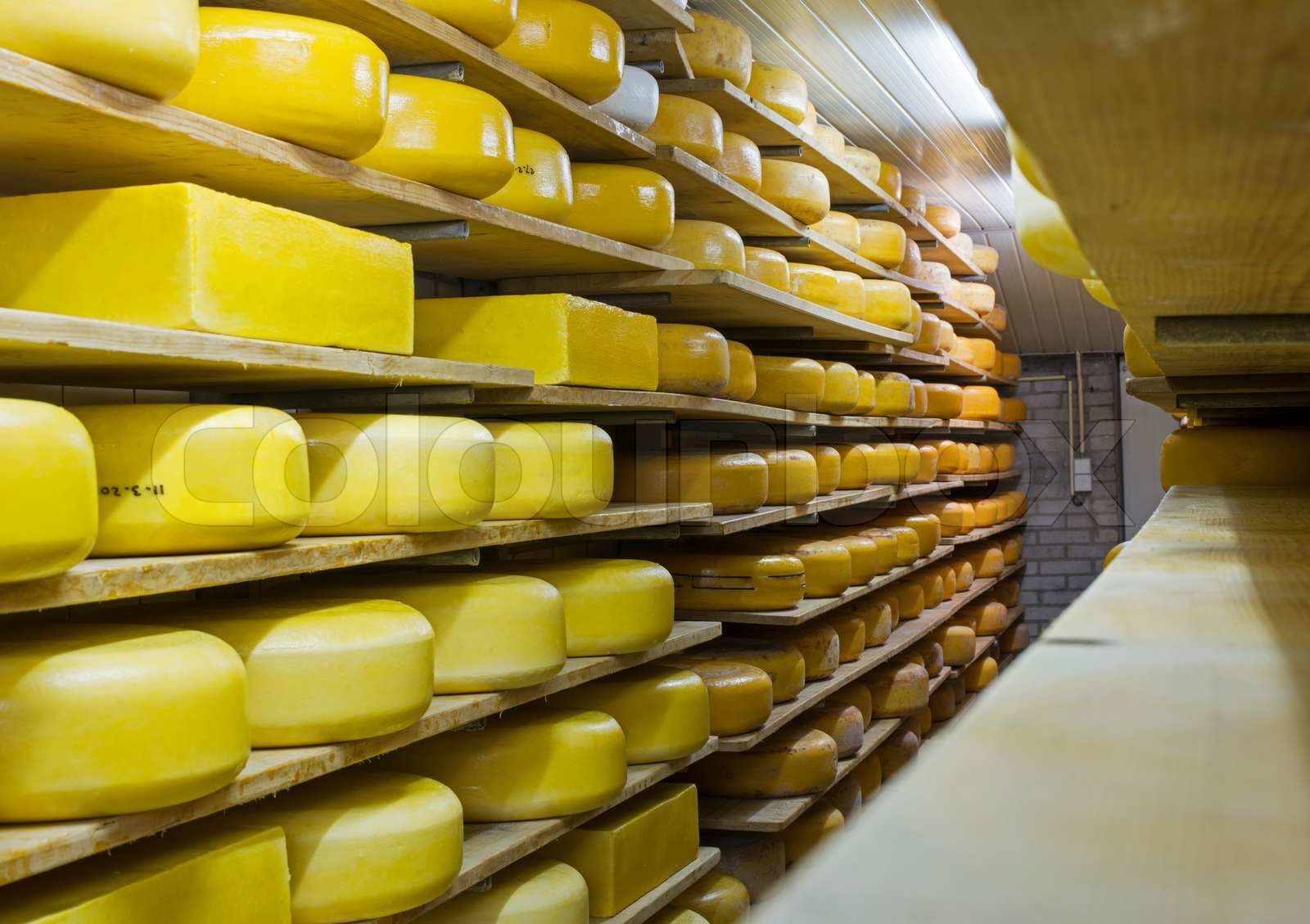 cheese factory Stock image Colourbox