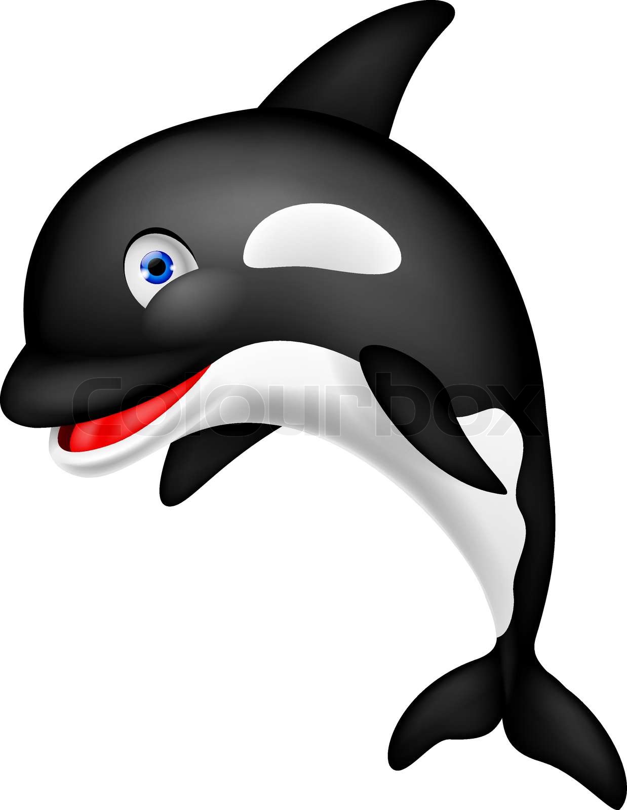 Orca cartoon | Stock vector | Colourbox