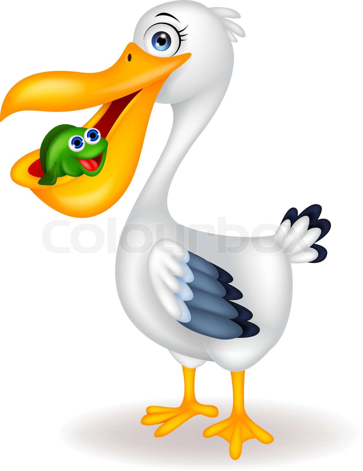 Will Eating Pelican Make You Sick? Experts Reveal All - slefho7