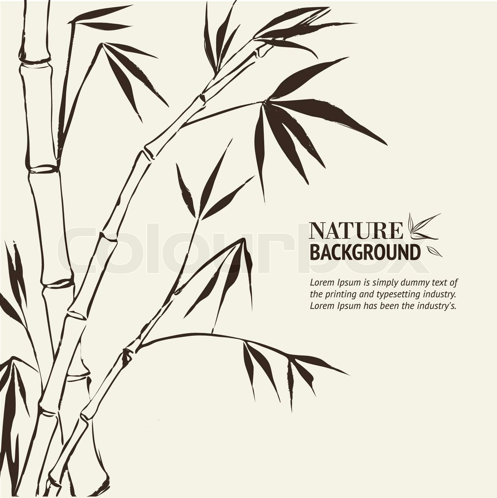 Bamboo Painting StockVektor Colourbox