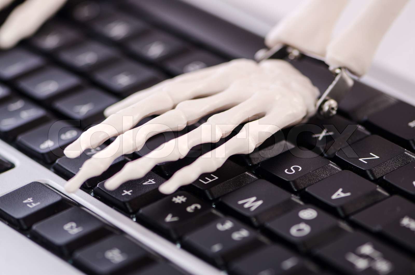 Skeleton working on the keyboard | Stock image | Colourbox
