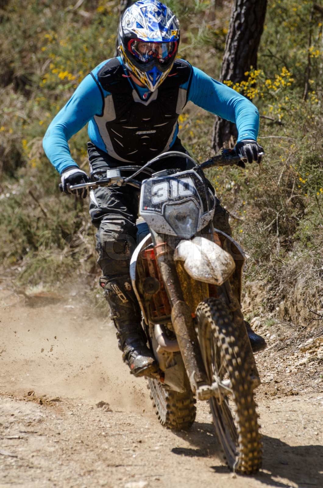 Antonio Faria Stock image Colourbox