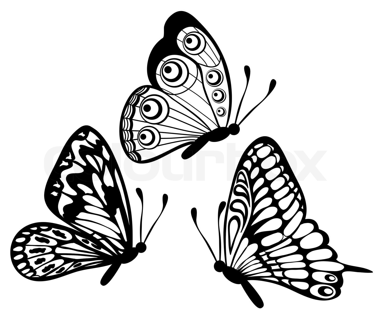 set of Beautiful black and white butterfly isolated on white | Stock