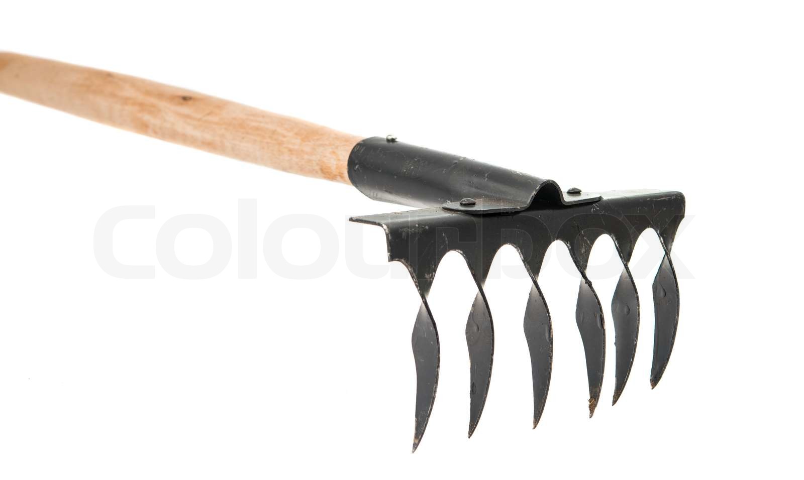 Have rake er isoleret | Stock foto | Colourbox
