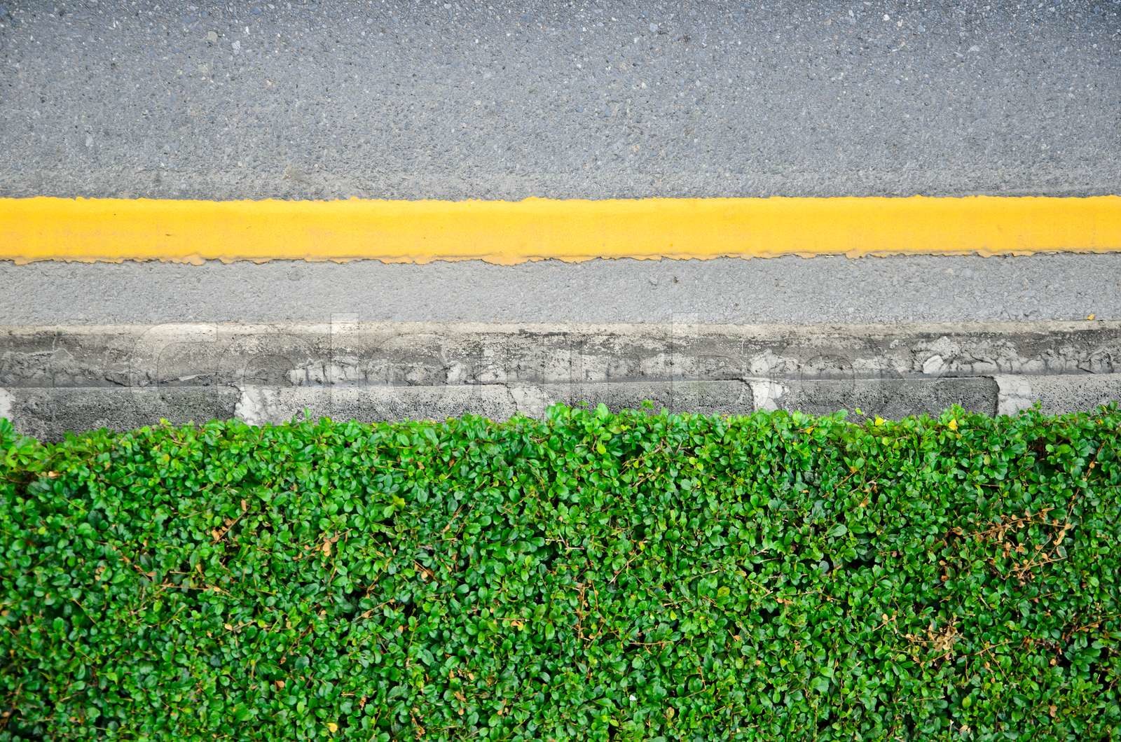 AsphaltStraße mit grünen Pflanze Grenze Stock Bild Colourbox