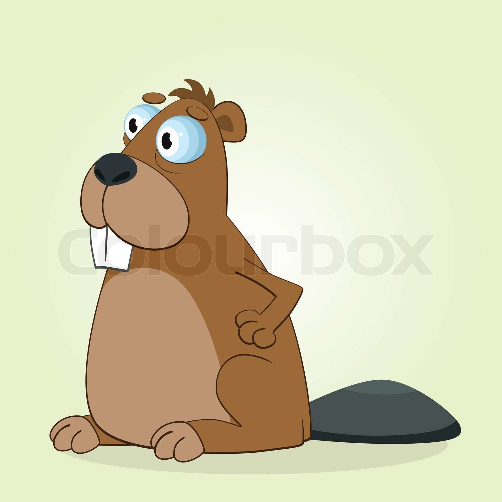 Beaver | Stock vector | Colourbox