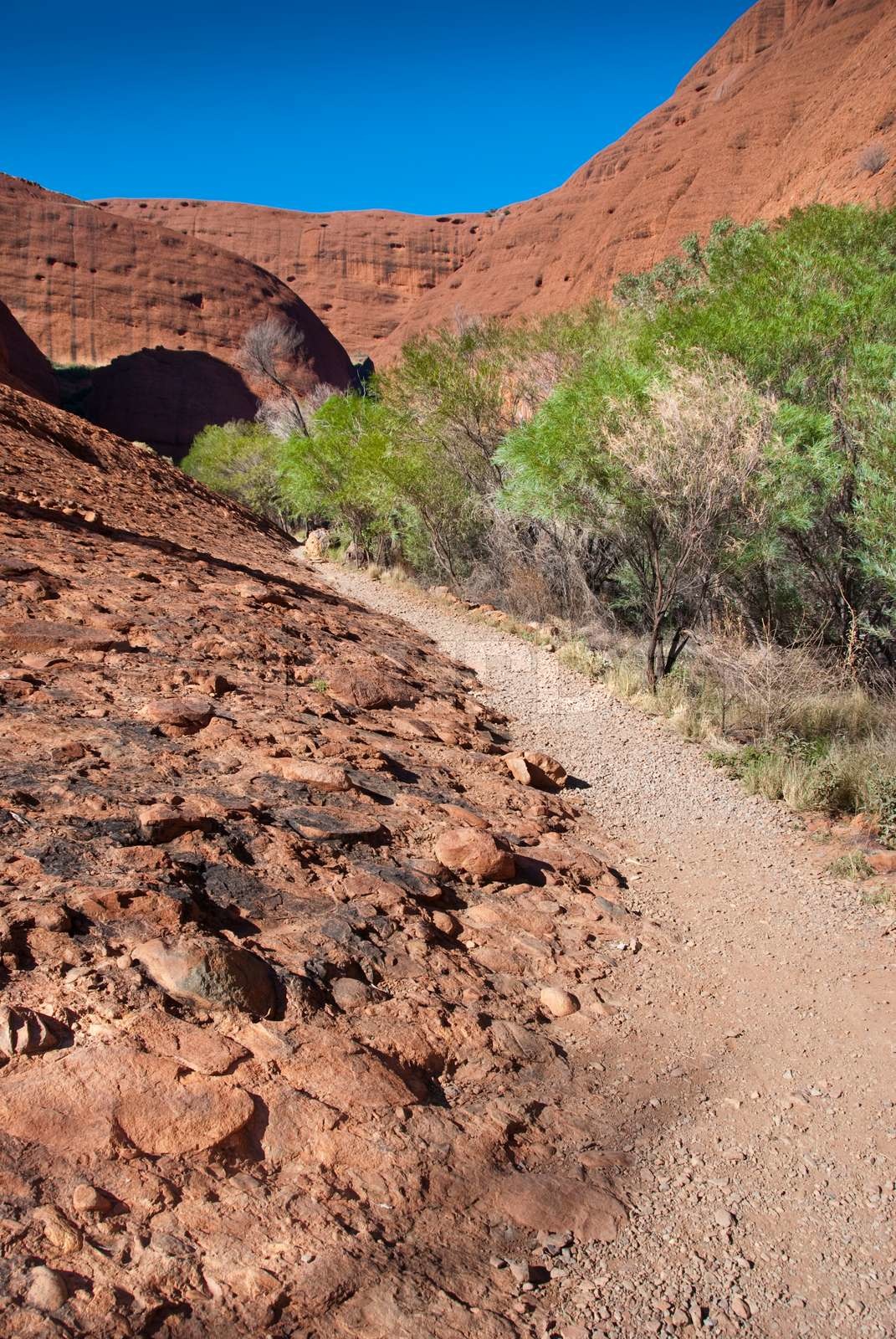 Australian Outback Stock Bild Colourbox