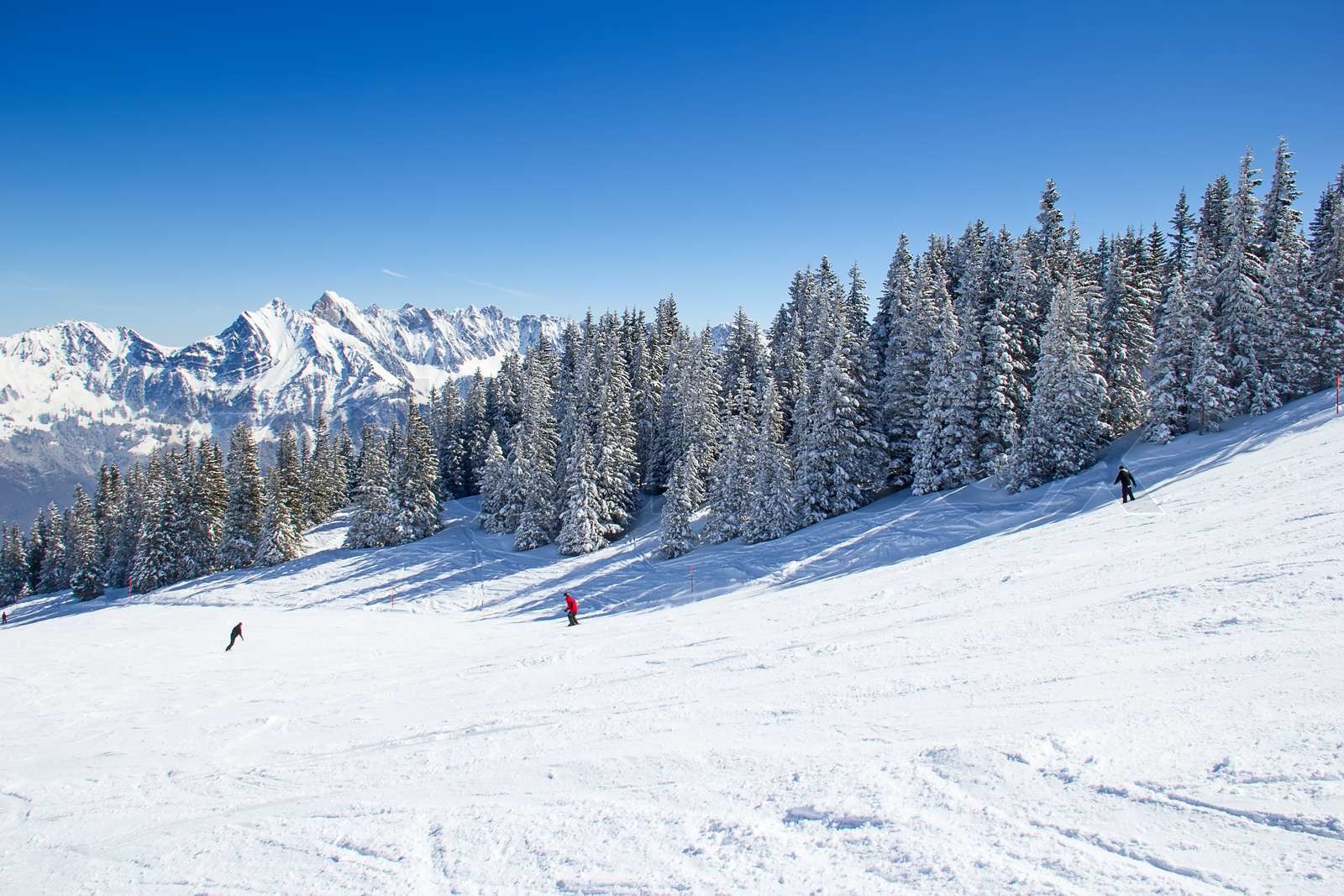 Skifahren in den Alpen | Stock Bild | Colourbox