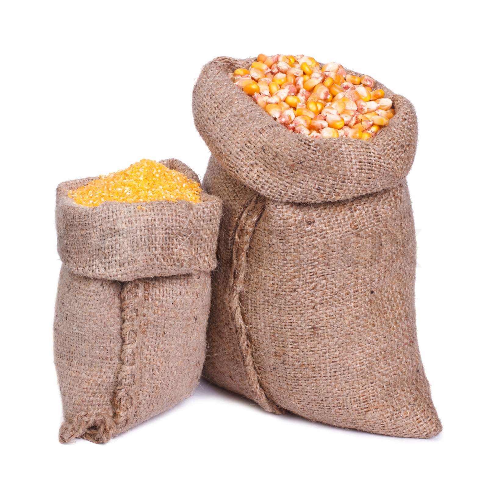 Sacks of grain and corn groats isolated on a white background | Stock