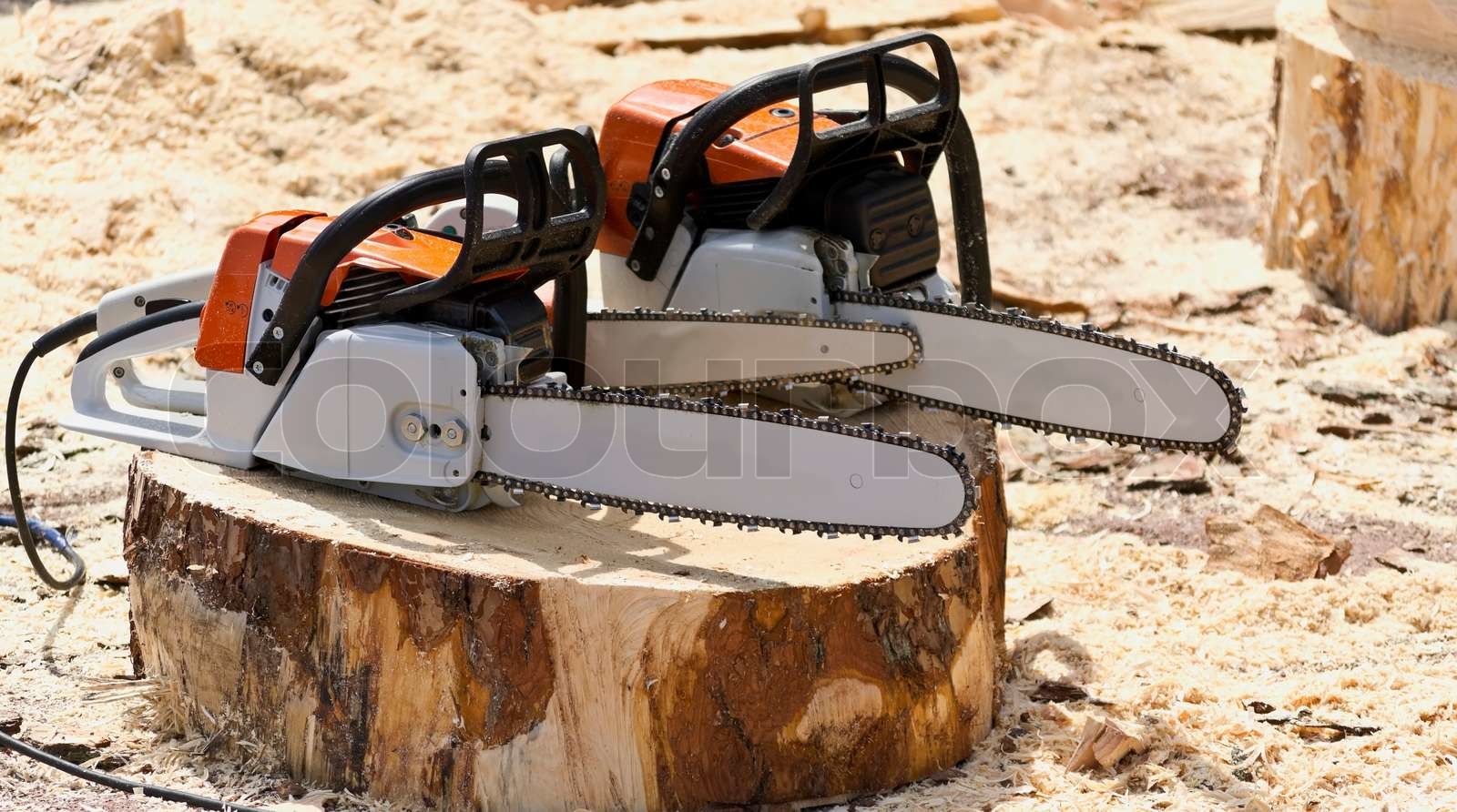 Kettensägen für die Arbeit mit Holz auf einer frisch gefällten Baumstumpf Stock Bild Colourbox