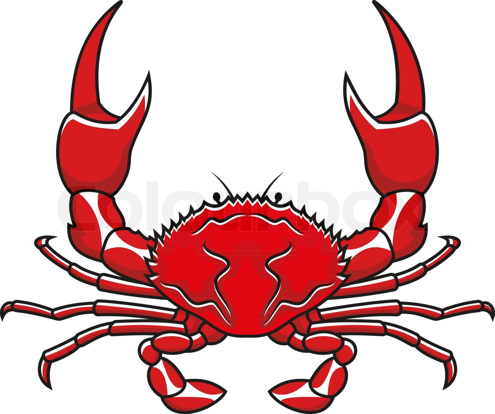 Red crab | Stock vector | Colourbox