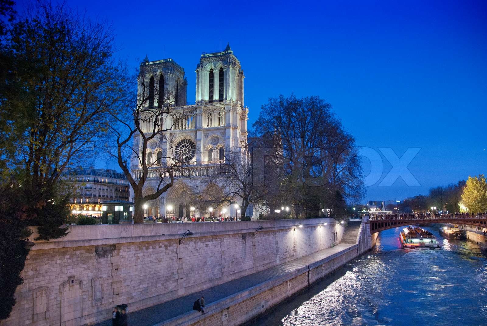 Notre Dame Lights in Paris | Stock image | Colourbox