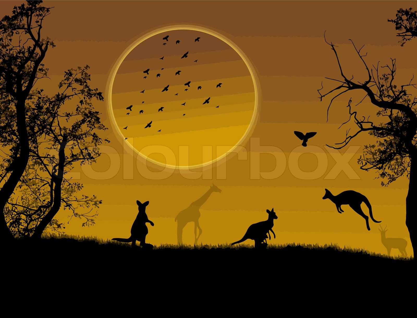 Wild Animals Stock Vector Colourbox