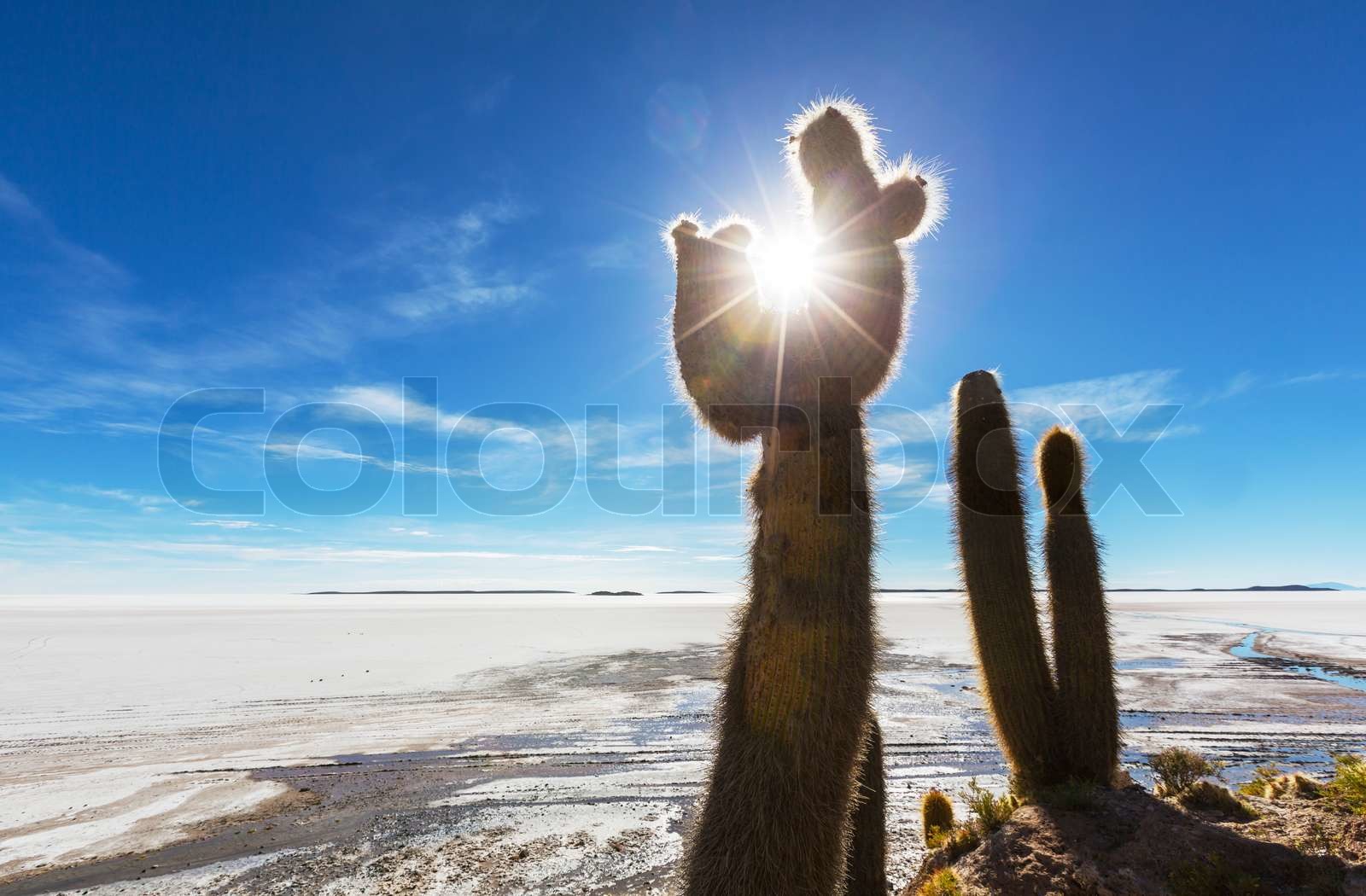 Salar de Uyuni Stock Bild Colourbox